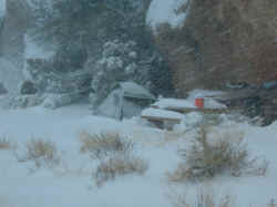 Snow Storm November 2004 at Joshua Tree