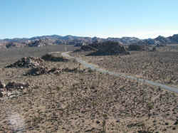 See for miles at Joshua Tree