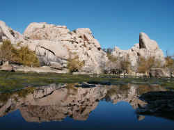 Barker Dam reflections