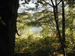 Camp SiteQ2.JPG (457773 bytes)