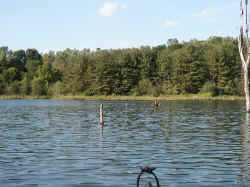 Lake Q.JPG (411588 bytes)
